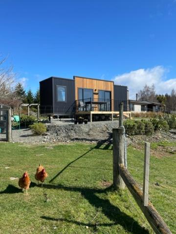 Boutique Tiny House - Te Anau Country Accommodation Exterior photo